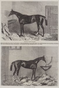 Derby ve Oaks