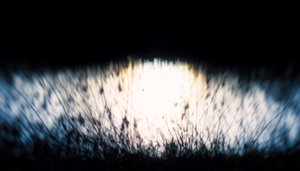 Su halısı IV, 2017, (manipüle edilmiş fotoğraf)