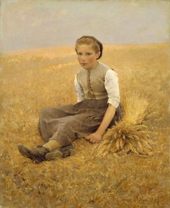 Küçük Toplayıcı, 1884