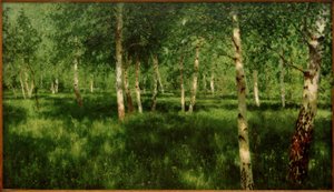 Birkenhain