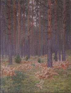 eğrelti otları, 1894