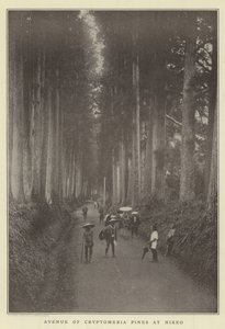 Nikko