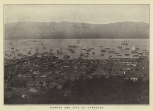 Liman ve Hakodate şehri