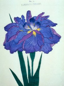 Görüşürüz. -Eski zamanlar. 16, 1898