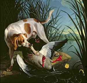 Yaban ördeği olan köpek