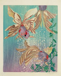 Elveda / Fantails