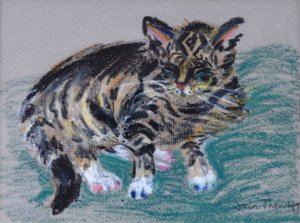 Tekir Kedi,2005 (pastel)