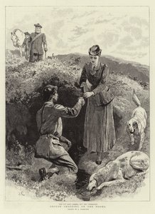 Moors