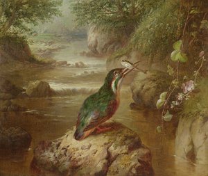 Kingfisher