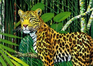 Hayvanlar: Leopar 1