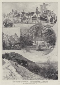 Box Hill
