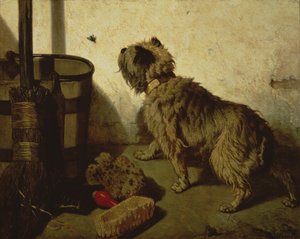 Köpek ve Sinek, 1856