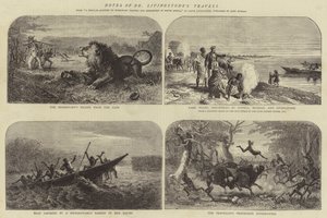 Dr Livingstone