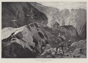 Ptarmigan-Yaylalarda Atış