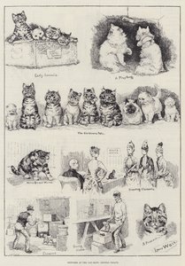 Cat Show