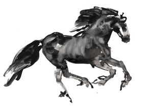 Gallop, 2015, (kağıt üzerine mürekkep ve sulu boya)