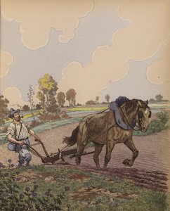 Dünya
