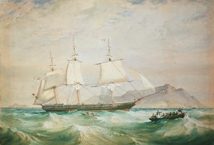 HMS Hornet, 1861