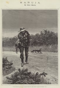 Maruja, Bret Harte