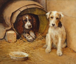 Köpek kulübesinde