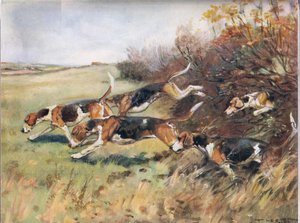 Kokunun Ardından, "Hounds"dan bir çizim