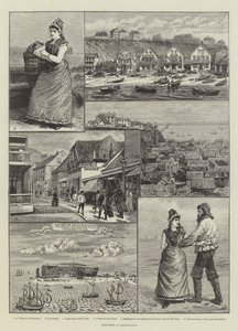 ಹೆಲಿಗೋಲ್ಯಾಂಡ್ ಟರ್ಕಿಯಲ್ಲಿನ ರೇಖಾಚಿತ್ರಗಳು