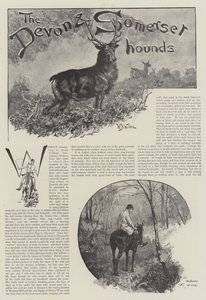 Devon ve Somerset Hounds