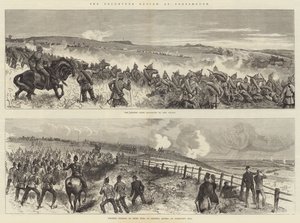 Portsmouth'daki Gönüllü İncelemesi