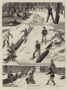 Manitoba'da Yaşam, IV