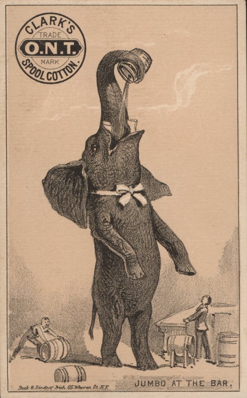 Jumbos varış, PT Barnum