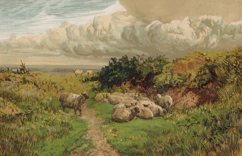 Bir İngiliz Pastoral by English School