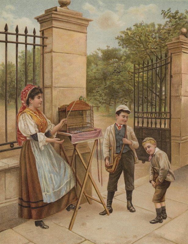Bir kuruşum vardı! by English School