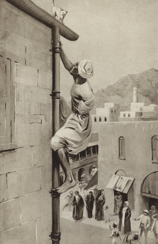 Walter Greenway, tehlikedeki bir kediyi kurtarmak için bir koluyla bir boruya tırmanıyor by English School