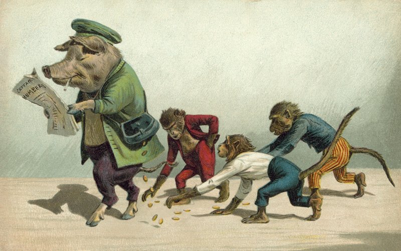 Monkeys gathering coins dropped by a pig  by French Photographer