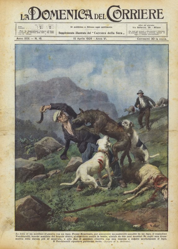 Bir kurtla sakatlanan bir savaşın kavgası by Achille Beltrame