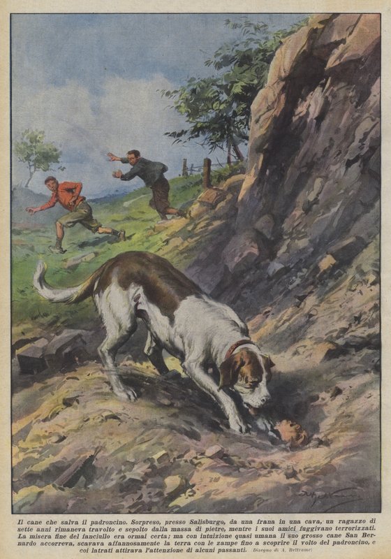 Sahibini kurtaran köpek by Achille Beltrame