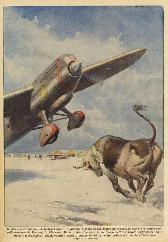 boğa ve uçak by Achille Beltrame