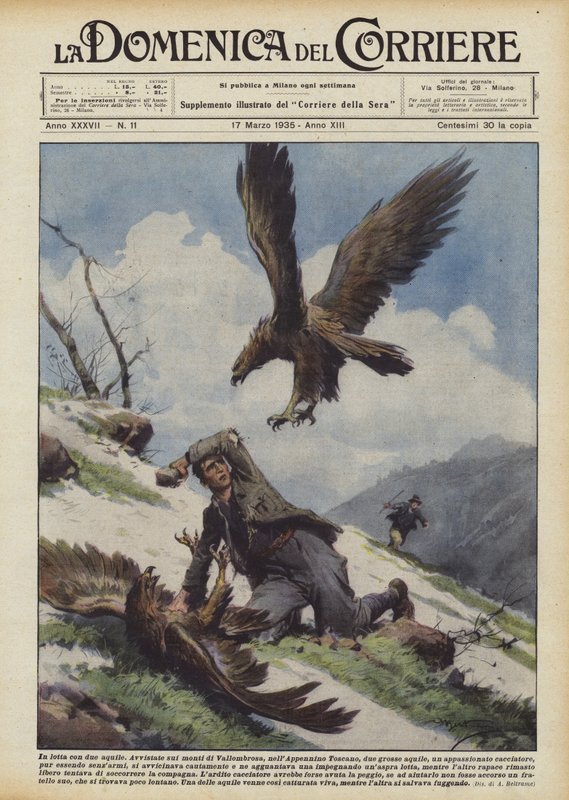 iki kartalla savaşmak by Achille Beltrame