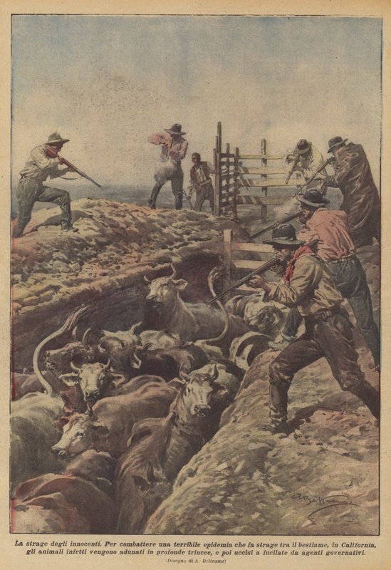 masumların katliamı by Achille Beltrame