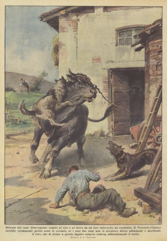 Köpekler tarafından kurtarıldı by Achille Beltrame