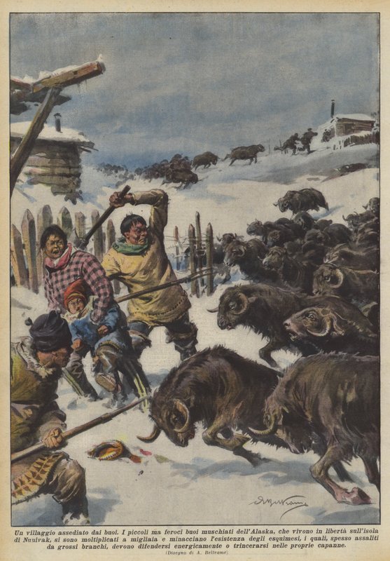 Öküzler tarafından kuşatılmış bir köy by Achille Beltrame
