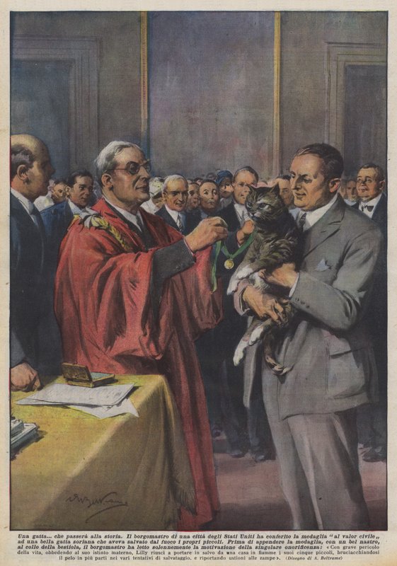 Bir kedi? bu tarihe geçecek by Achille Beltrame