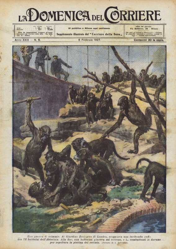 Bir maymun savaşı by Achille Beltrame