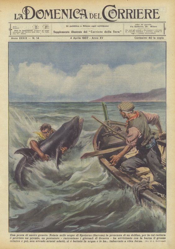 Yeni bir balık türü by Achille Beltrame