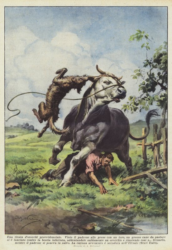Bir ilahi tirade dorecchi by Achille Beltrame