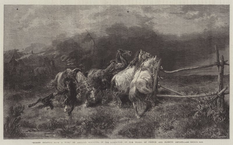 Ateşten kaçan atlar by Adolf Schreyer
