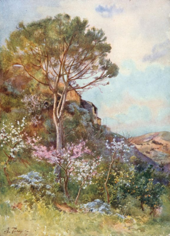 Calatafimi