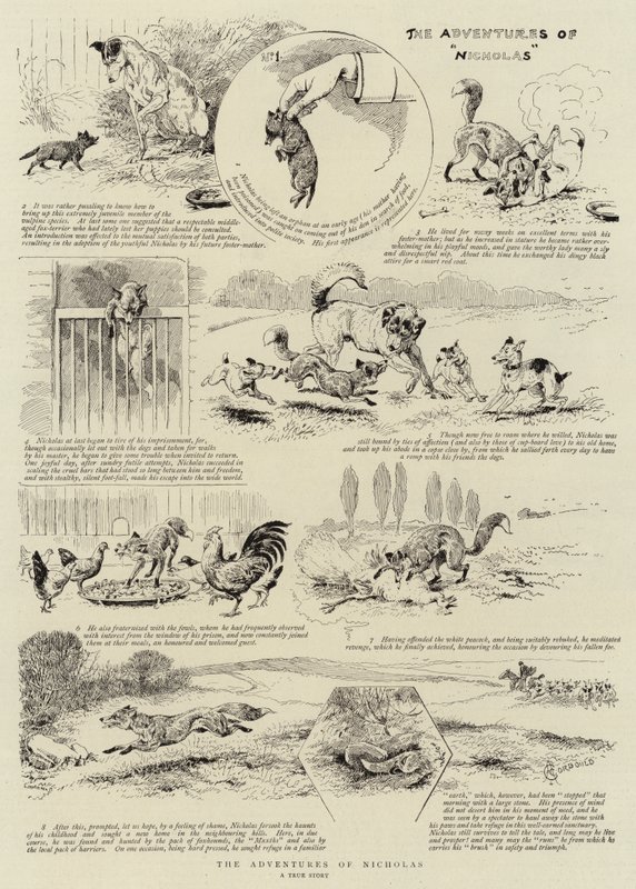 ದಿ ಅಡ್ವೆಂಚರ್ಸ್ ಆಫ್ ನಿಕೋಲಸ್ ಟರ್ಕ್ by Alfred Chantrey Corbould