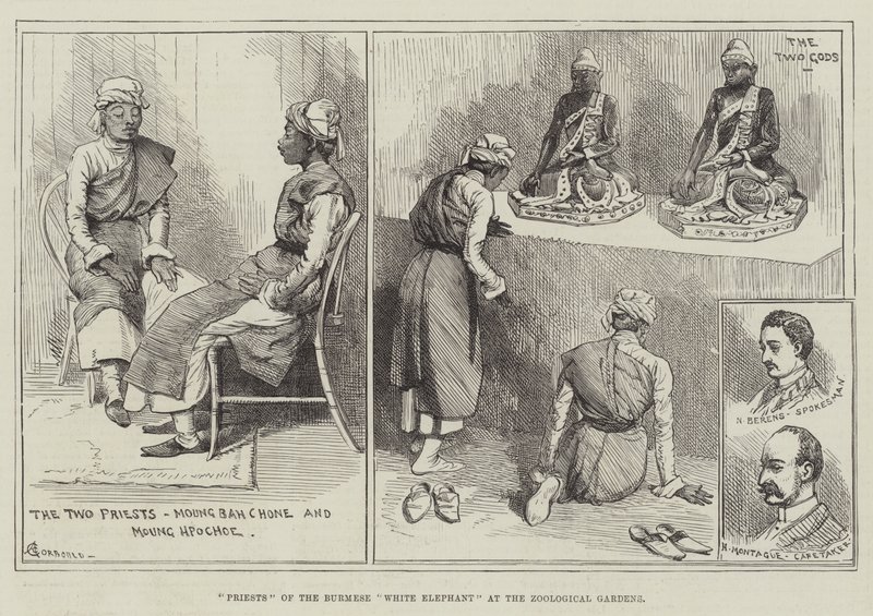 Zooloji Bahçelerinde Birman Beyaz Filinin Rahipleri by Alfred Courbould