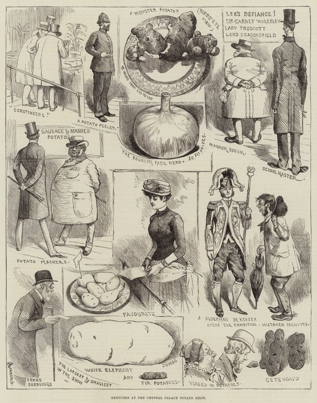 Crystal Palace Patates Şovunda Skeçler by Alfred Courbould
